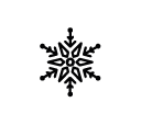 0653_Snowflake